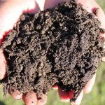 enriquecimento-do-solo