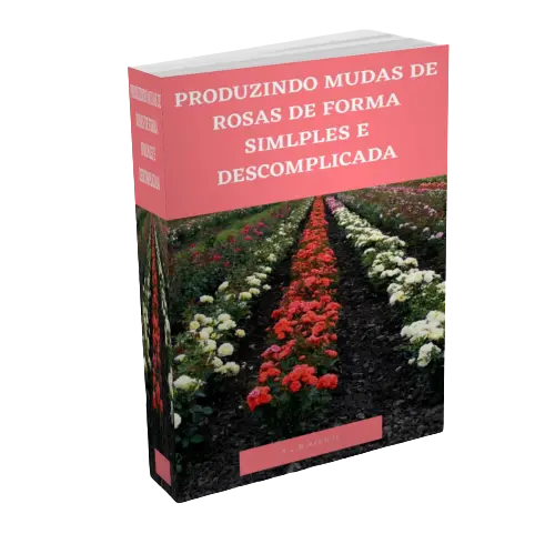 PRODUZINDO MUDAS PARA OBTENÇÃO DE MARAVILHOSAS ROSAS